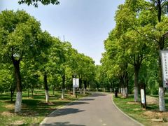 -上海旅游集散中心(万体站)