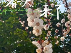 -天目湖涵田度假村