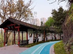 -重庆彩云湖湿地公园