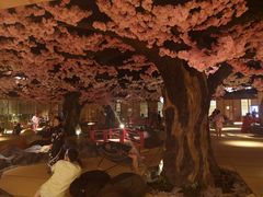 -蓝鲸湾汤泉(包河店)