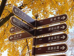 -灵谷景区