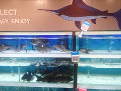 -盒马鲜生(昆城店)