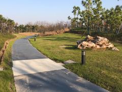 -春花秋色城市公园