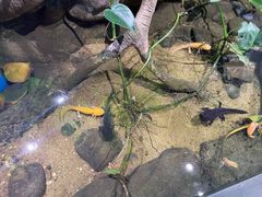 -正佳雨林生态植物园