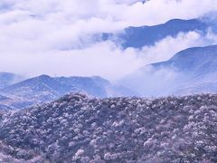 -妙峰山风景名胜区
