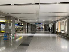 -望京西(地铁站)