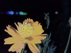 -怡海公园(桂城街道)