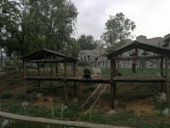 -石家庄市动物园