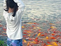-池杉湖湿地公园