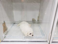 -乐宠宠物店(世纪金源店)