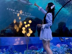 -重庆欢乐海底世界