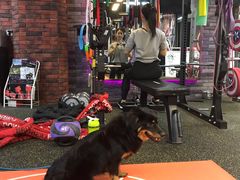 -Nirvana Fitness健身工作室