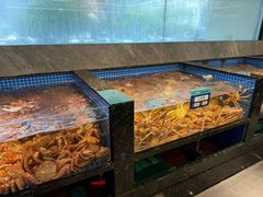 -东海怡品海鲜豆捞(舟宿夜江店)