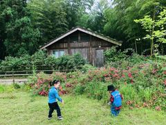 -重庆雨台山风景区