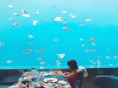 -瑞德姆美人鱼海底演艺主题餐厅(亚龙湾店)