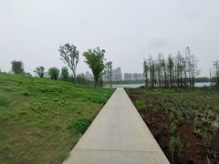 -艾溪湖湿地公园