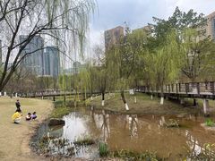 -沐仙湖湿地公园