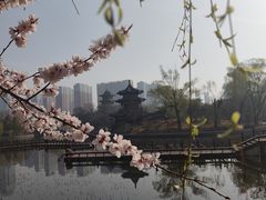 -迎泽公园