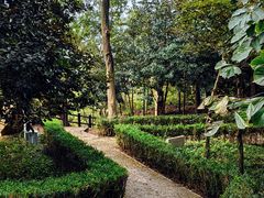 -上海佘山国家森林公园天马山园