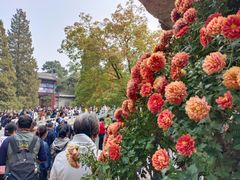 -香山公园-东宫门售票处