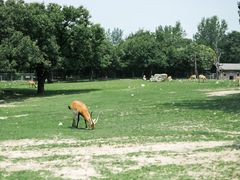 -西安秦岭野生动物园