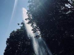 -九龙公园