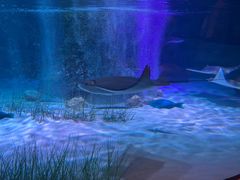 -沈阳海洋探索中心