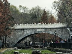 -白水寺森林公园