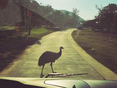 -西安秦岭野生动物园