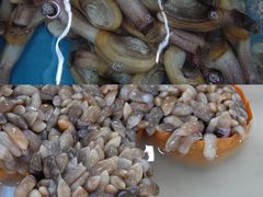 -达叔香味海鲜(海棠68环球美食街店)