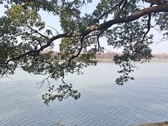 -东湖落雁景区