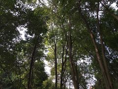 -富乐山