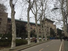 -武汉大学-樱园