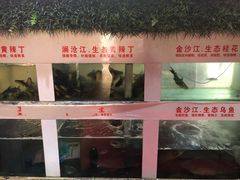 -秋语木桶鱼.酸菜鱼(开发区火车站店)