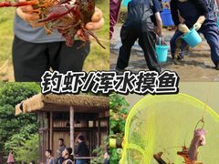 -上海山野camping·户外天幕烧烤·团建拓展营地