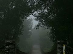 -铁山坪森林公园