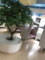 -睿宝儿科·眼科·口腔(杨浦新江湾城店)