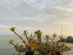 -影吧•悬崖海景(珠海凤凰湾悦椿酒店)