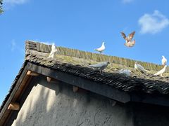 -良渚古城遗址公园