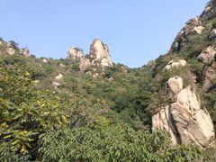 -大岭沟猕猴桃谷风景区