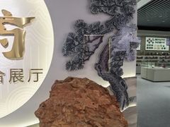 -北京中医药大学-中医药博物馆