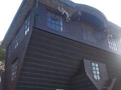 -金山农民画村-枫泾波兰倒置屋
