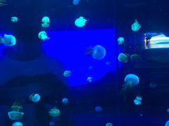 -多彩贵州城极地海洋世界