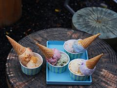 -苏小糖(鼓浪屿三丘田花园店)
