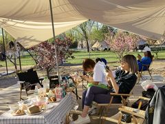 -TIPPI营地 房车主题·露营烧烤团建轰趴(天安假日店)