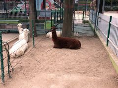 -荆州中山公园动物园