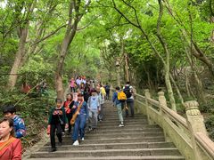 -普陀山慧济禅寺