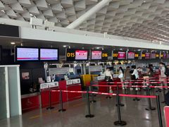 -郑州新郑国际机场-T2航站楼