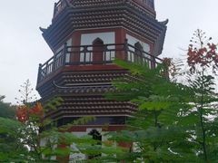 -中山公园(石岐街道)