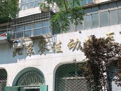 -北京赛佳动物医院